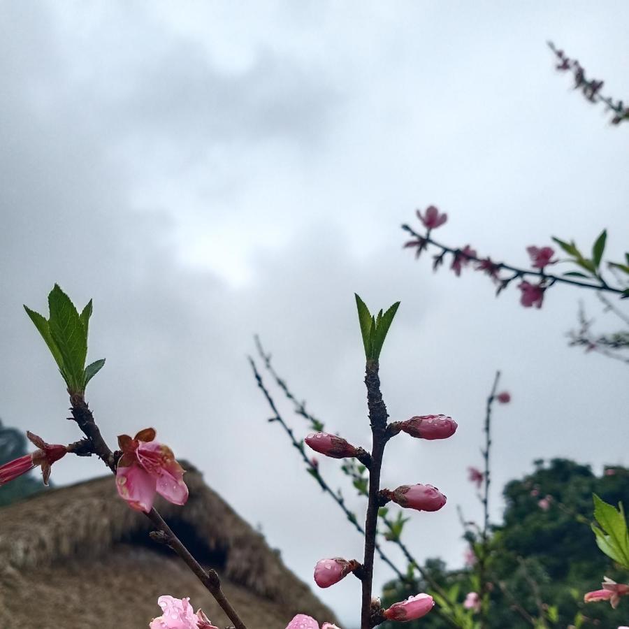 Dao Homestay Hoang Su Phi Εξωτερικό φωτογραφία