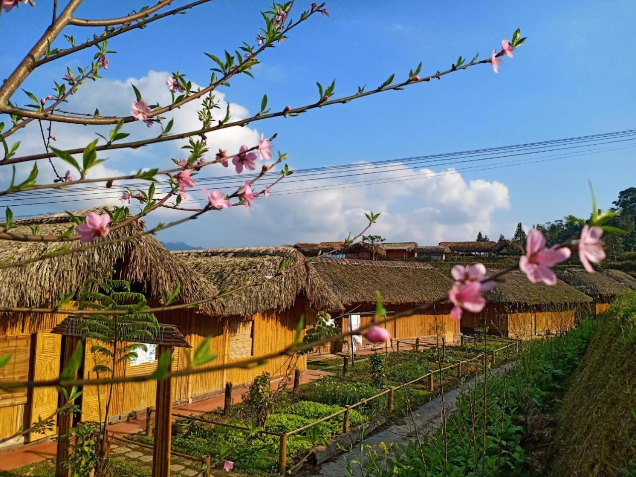 Dao Homestay Hoang Su Phi Εξωτερικό φωτογραφία